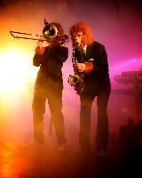 Die Affen steigen auf den Thron